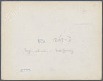 Negro shacks off Lincoln Highway, Franklin Township, New Jersey.