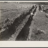 Sewage line being put through near sewage disposal plant at Berwyn project, [Greenbelt,] Maryland.