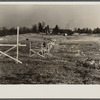 Early March progress on the dam at the lake site on the Berwyn project, [Greenbelt,] Maryland.