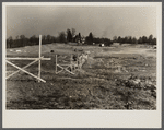 Early March progress on the dam at the lake site on the Berwyn project, [Greenbelt,] Maryland.