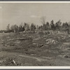 Lake site. Berwyn, Maryland.