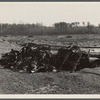Lake site. Berwyn, [Greenbelt,]  Maryland.