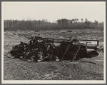 Lake site. Berwyn, [Greenbelt,]  Maryland.