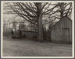 Cider mill at Crabtree Creek recreational demonstration area near Raleigh, North Carolina.