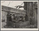 Cider mill at Crabtree Creek recreational demonstration area near Raleigh, North Carolina.
