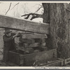 Cider mill at Crabtree Creek recreational demonstration area near Raleigh, North Carolina.