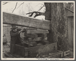 Cider mill at Crabtree Creek recreational demonstration area near Raleigh, North Carolina.