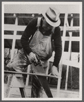 Carpenter at the Berwyn project, [Greenbelt,] Maryland.