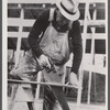 Carpenter at the Berwyn project, [Greenbelt,] Maryland.