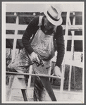Carpenter at the Berwyn project, [Greenbelt,] Maryland.