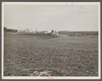 A Maryland farm.