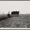 Plowing in Maryland.