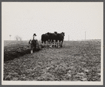 Plowing in Maryland.