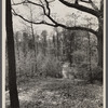 Footpath surrounding the town. Berwyn, Maryland.