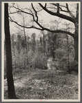 Footpath surrounding the town. Berwyn, Maryland.