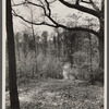 Footpath surrounding the town. Berwyn, Maryland.