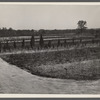 Nursery at Greenbelt, Maryland.