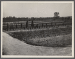 Nursery at Greenbelt, Maryland.