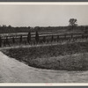 Nursery at Greenbelt, Maryland.