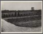 Nursery at Greenbelt, Maryland.