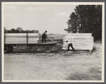 Unloading lumber at Berwyn [i.e. Greenbelt], Maryland.