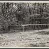 An old cemetery at the site where a new one will be built. Berwyn [i.e. Greenbelt?], Maryland.