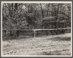 An old cemetery at the site where a new one will be built. Berwyn [i.e. Greenbelt?], Maryland.