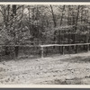 An old cemetery at the site where a new one will be built. Berwyn [i.e. Greenbelt?], Maryland.