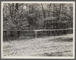 An old cemetery at the site where a new one will be built. Berwyn [i.e. Greenbelt?], Maryland.