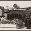 General building material. Tile pipes and lumber. Berwyn [i.e. Greenbelt], Maryland.