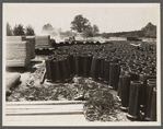 General building material. Tile pipes and lumber. Berwyn [i.e. Greenbelt], Maryland.
