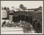 General building material. Tile pipes and lumber. Berwyn [i.e. Greenbelt], Maryland.