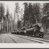 A log train in the virgin timbers. Three to six logs usually constitute a carload, sometimes a single log. Washington.