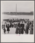 Washington, D.C. Looking across the Tidal Basin from the steps of the Jefferson Memorial.