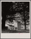 Arlington Farms, war duration residence halls. The main street at Arlington Farms is lined with huge shade trees.