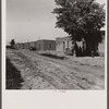 A colony of twenty adobe houses built by the inhabitants with materials supplied by the Great Western Sugar Company. Thirteen of the houses are used, seven being unfit for habitation. In the thirteen houses, there live approximately fifty people.