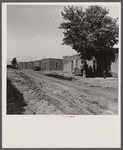 A colony of twenty adobe houses built by the inhabitants with materials supplied by the Great Western Sugar Company. Thirteen of the houses are used, seven being unfit for habitation. In the thirteen houses, there live approximately fifty people.