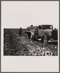 Union meeting. Sugar beet workers. Colorado.
