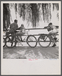 Washington, D.C. Sunday cyclists watching sailboats at Haines Point.