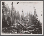A close-up of yarding and loading. Washington.