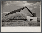 Dairy barn and outside haystack, Chattanooga, Tennessee.