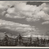 Rail fence on road to Chattanooga, Tennessee.