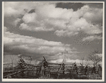 Rail fence on road to Chattanooga, Tennessee.