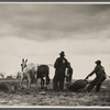 Getting fields ready for spring planting, North Carolina.