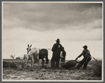 Getting fields ready for spring planting, North Carolina.