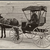 Native and buggy, Hoffman, North Carolina.
