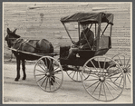 Native and buggy, Hoffman, North Carolina.