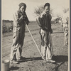 Convicts working on a state road, North Carolina.
