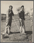 Convicts working on a state road, North Carolina.