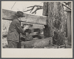Demonstrating homemade cider press at Crabtree Recreational Demonstration Project near Raleigh, North Carolina.